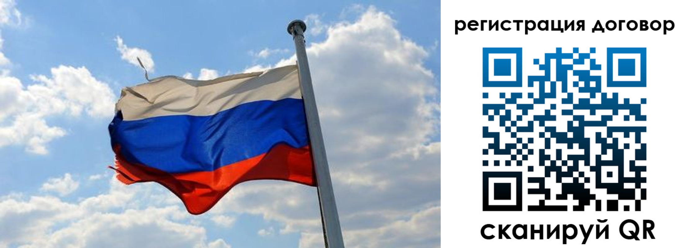 найти адрес прописки в Сертолово